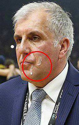 Obradovic'e tüküren taraftar gözaltında