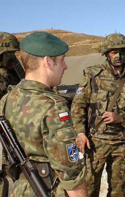 O ülke Rusya'ya karşı ordu kuruyor