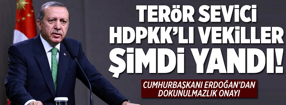 Erdoğan'dan dokunulmazlık onayı