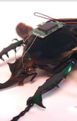 Bu savaş teknolojisi sizi dehşete düşürecek!