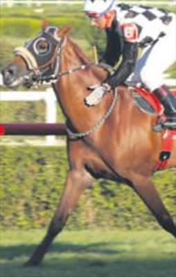 Şampiyon kasaya 14 milyon TL koydu