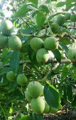 2 milyon kişiye yeni gelir kapısı