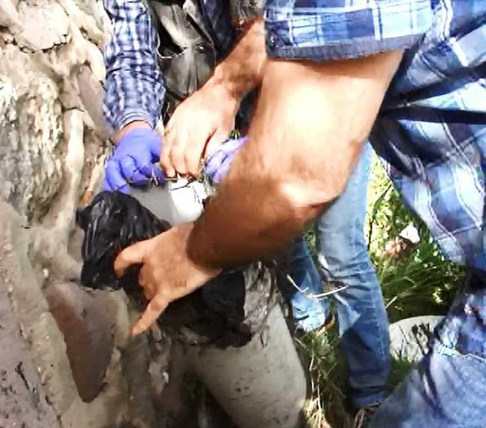 PKK'nın İzmir planı deşifre oldu-2