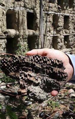 'Bu arı kovanlarının dünyada başka örneği yok'