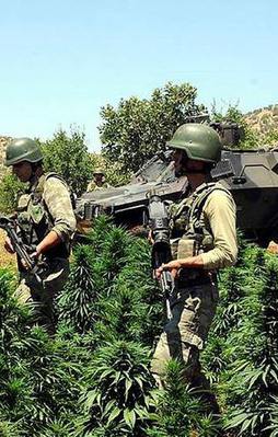 7 bin askerle dev operasyon