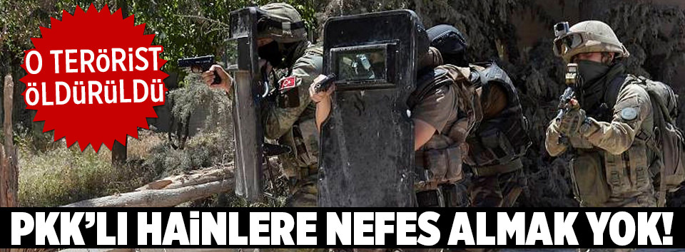 PKK’ya darbe üstüne darbe