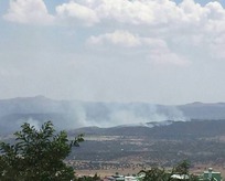Köşeye sıkışan PKK’lılar ormanı ateşe verdi