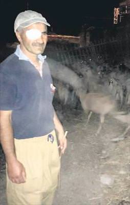 Çobana aşk tuzağı