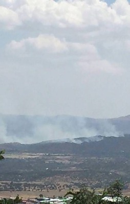 Köşeye sıkışan PKK'lılar ormanı ateşe verdi