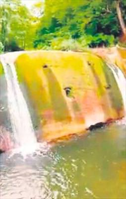 Ölüme kulaç attı