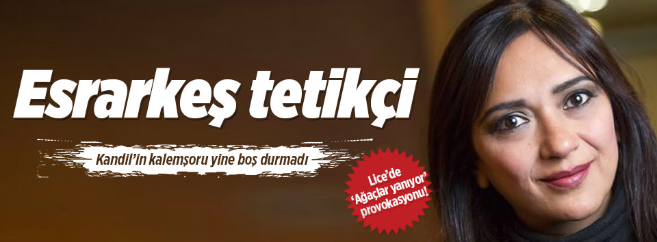Lice’de ağaçlar yanıyor provokasyonu