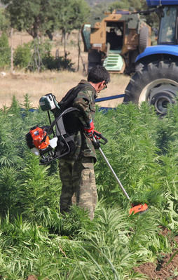 PKK'nın finans kaynağına çok ağır darbe!