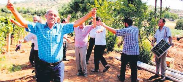 Üzüm bayramı