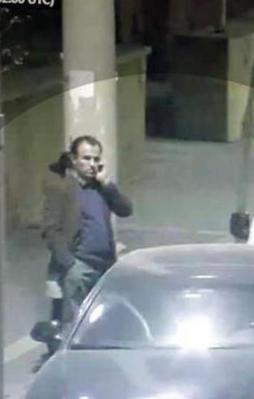 Almanya ile HDP'den ortak alçaklık