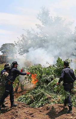 Diyarbakır'daki operasyon sona erdi