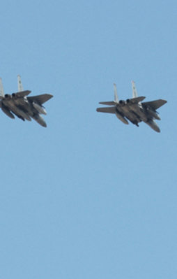 TSK'dan PKK'ya ağır darbe