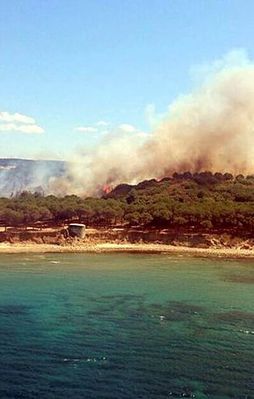 Gelibolu'da orman yangını