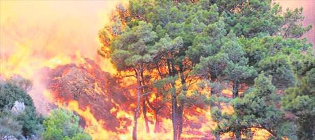 Piknikçiler Bodrum’u yaktı