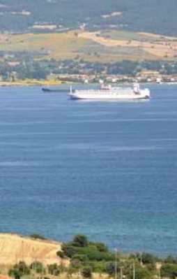 Erdoğan 'kesin' dedi! Fiyatlar uçtu!