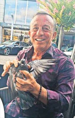 Güvercin operasyonu