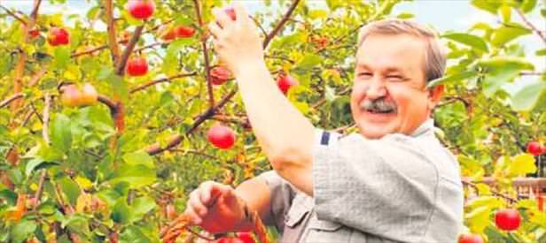 Çiftçiye 83 milyarlık destek