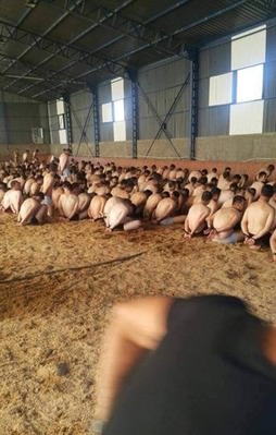 Darbecilerin sonu böyle oldu!