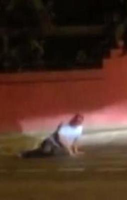 Muhtarı şehit eden darbeci hain öldürüldü