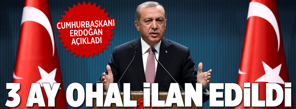 Erdoğan: 3 ay OHAL kararı aldık