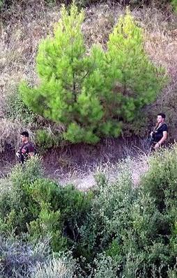 Hainlerden biri otostop yaparken yakalandı