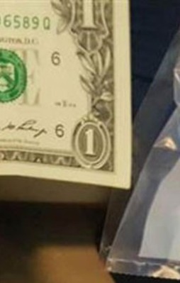 İstanbul'da 31 akademisyene gözaltı