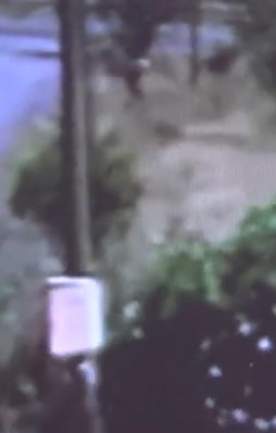 Suikastçi hain kadın kılığında kaçtı