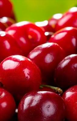 Domatesi Belarus’a kirazı Almanya’ya sattık