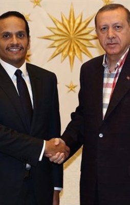 Erdoğan Al Sani'yi kabul etti