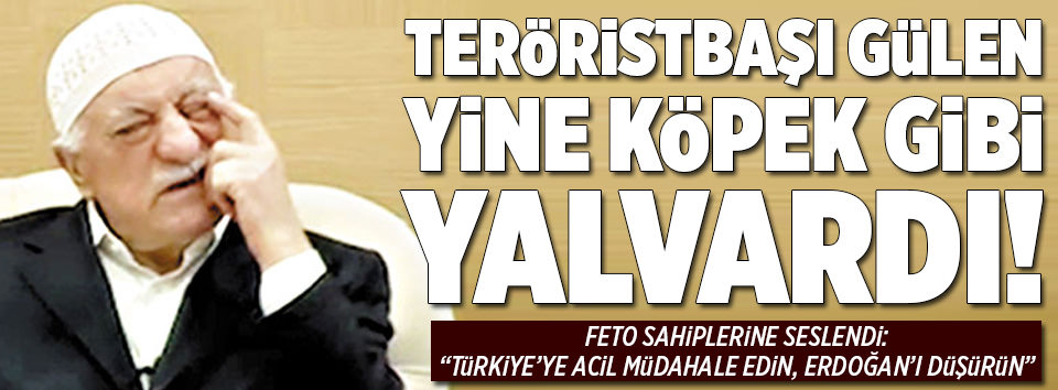 Feto bu kez Mısır TV’sinde köpek gibi yalvardı!