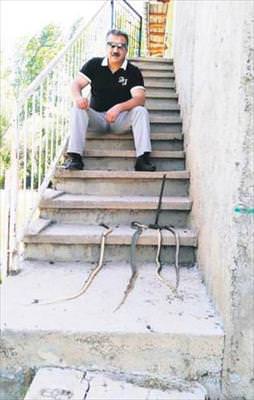 Yılan avcısına ceza!