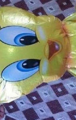 Oyuncaklara bomba bağlayıp attılar