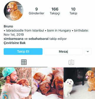 Bensu Soral köpeği Bruno için sosyal medya hesabı açtı-1
