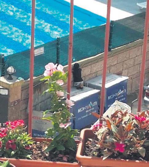 Görüntüleri yürek burkmuştu... Havuzdaki çocukları izleyen çocuk, kardeşleriyle havuza götürüldü-1