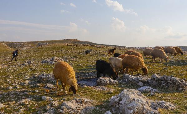 Alarm zilleri çalıyor! Mardin son 20 yılın en kurak dönemini yaşıyor-6