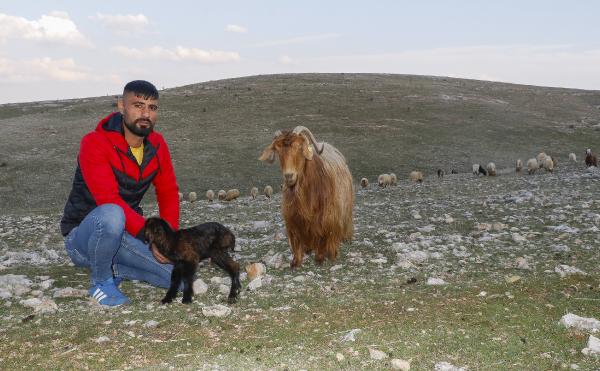 Alarm zilleri çalıyor! Mardin son 20 yılın en kurak dönemini yaşıyor-8