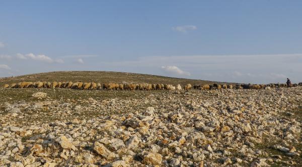Alarm zilleri çalıyor! Mardin son 20 yılın en kurak dönemini yaşıyor-4