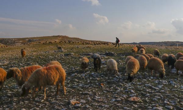 Alarm zilleri çalıyor! Mardin son 20 yılın en kurak dönemini yaşıyor-5