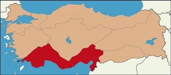 hava-durumu-trakya-ve-istanbul-icin-son-dakika-uyarisi-meteoroloji-yayinladi-1617097416380.jpeg HAVA DURUMU | Trakya ve İstanbul için son dakika uyarısı! Meteoroloji yayınladı-4