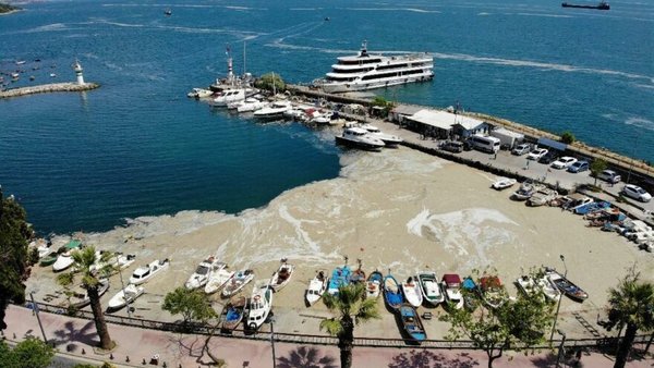 ata-demirerden-dikkat-ceken-musilaj-paylasimi-deniz-salyasi-buraya-kadar-geldi-dedi-o-kareleri-yayinladi-1622825856926.jpg Ata Demirer'den dikkat çeken müsilaj paylaşımı! ‘Deniz salyası buraya kadar geldi’ dedi o kareleri yayınladı-7