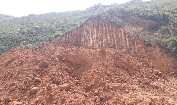 Turizm cennetinde doğa katlediliyor! Bodrum'da kaçak yollar yapılmaya başlandı-3