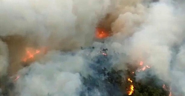 Marmaris yangını neden çıktı? Muğla Marmaris orman yangını son durum nedir? Marmaris Bördübet yangın son dakika açıklamalar!-4