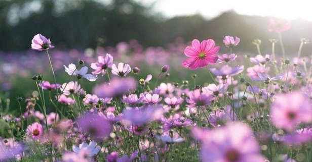 2. cemre düştü mü, ne zaman düşecek 2023? Şubat-Mart ayı 1. ve 2. cemre nereye düşecek, suya mı? 2023 CEMRE TARİHLERİ!-3