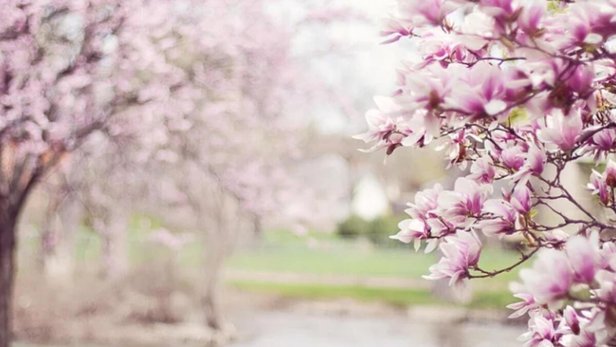 2. cemre düştü mü, ne zaman düşecek 2023? Şubat-Mart ayı 1. ve 2. cemre nereye düşecek, suya mı? 2023 CEMRE TARİHLERİ!-2