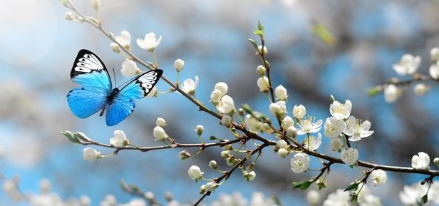 2. cemre düştü mü, ne zaman düşecek 2023? Şubat-Mart ayı 1. ve 2. cemre nereye düşecek, suya mı? 2023 CEMRE TARİHLERİ!-5