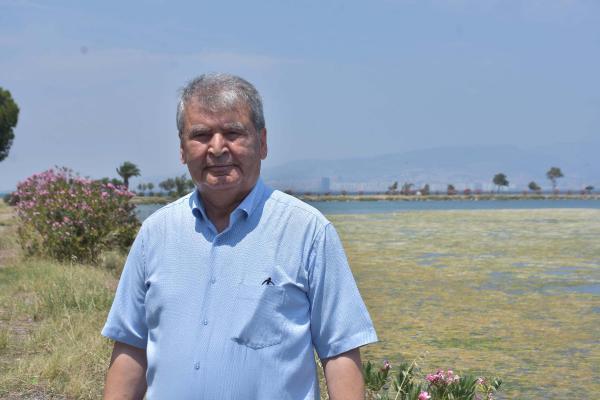İzmir'de yeşil panik! Uzman isim uyardı: Risk altında-4